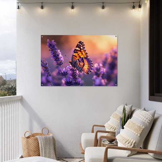Een vlinder met oranje, zwart en paarse vleugels zit op paarse lavendel, op een balkon met witte muren en lichte stoelen.