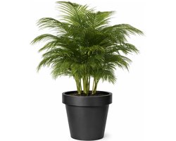 Mega Collections Plantenpot/bloempot - kunststof - zwart - buiten - D40 x H35 cm