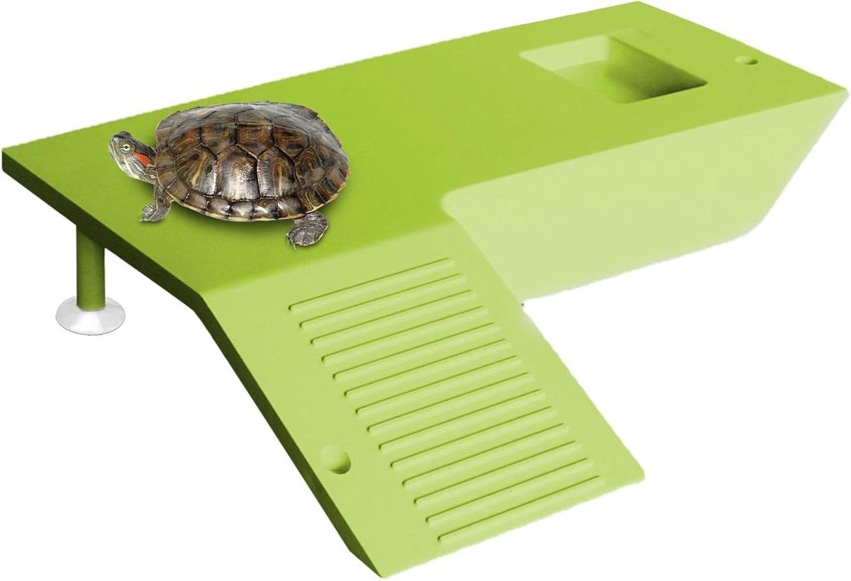 Schildpadden Zonneplatform - Reptielen Terras - Schildpadden Zonnen - Multifunctioneel Platform - 19.7 x 16 x 4.2 cm - Groen