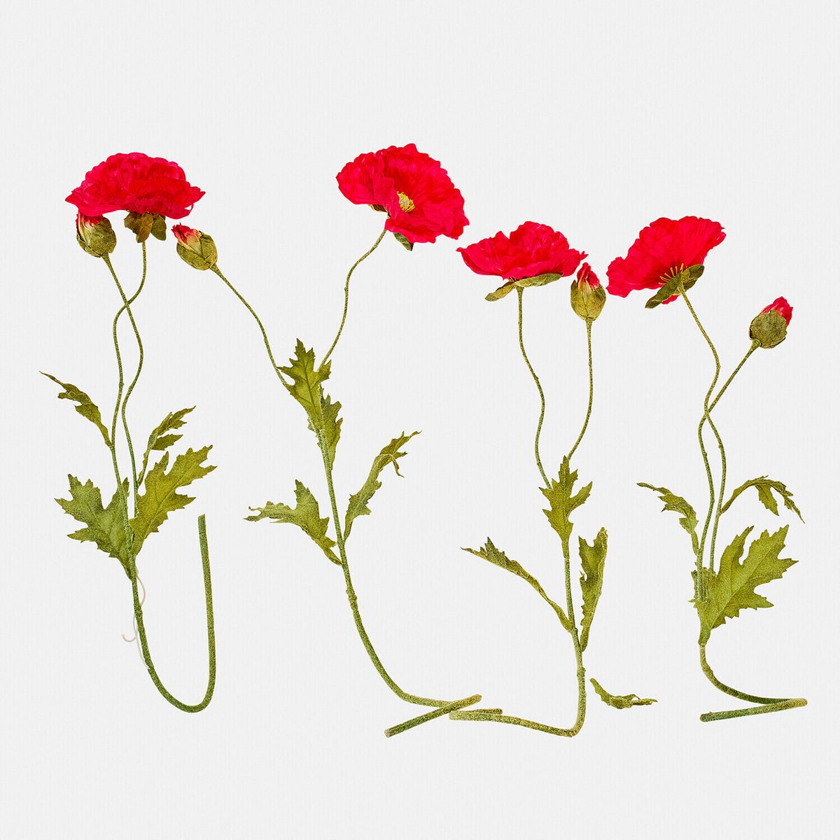 LOBERON Decoratieve bloem set van 4 Doravela rood