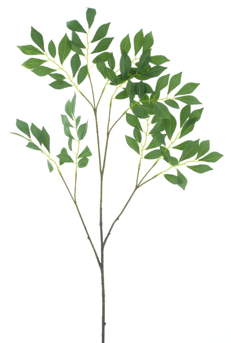 Bellatio Design Kunsttak / kunstbloem Salie - 108 cm - groen - boeket opvulling bladgroen