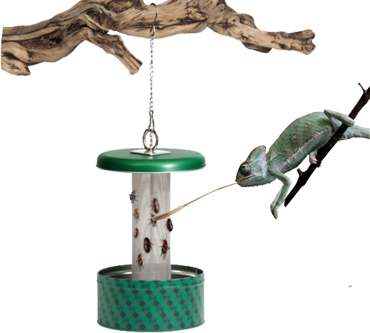 Kameleon Voerbak - Reptielen Voeder - Natuurlijke Jacht Simulatie - Metalen Klimkolom - 5 Cups - Groen