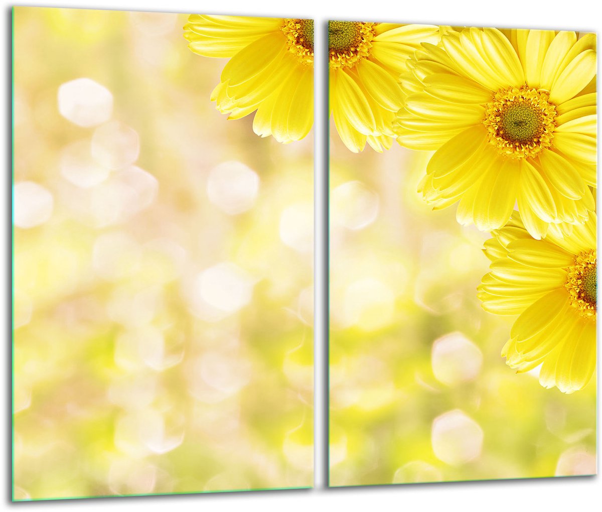 TMK ArtDeko - Snijplank Glas - 2x 30x52 cm - Kleurendecor