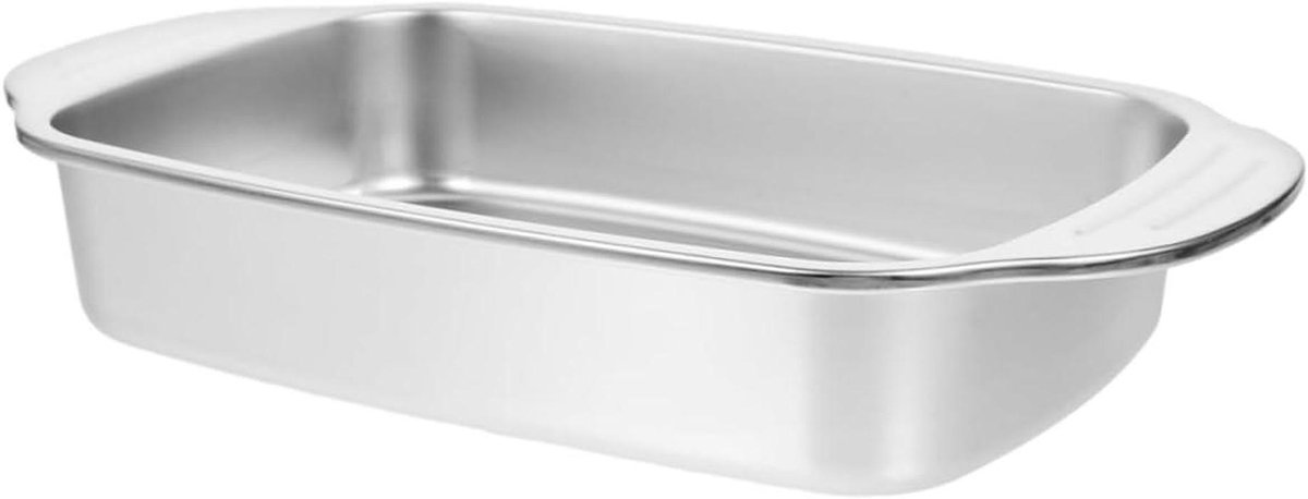 Rvs Braadpan - Visschotel Braadslede - Zeevruchten Koken - Grote Capaciteit - 408 cm - Zilver