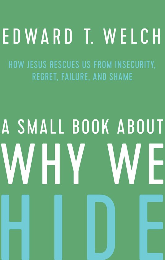 A Small Book about Why We Hide - cover