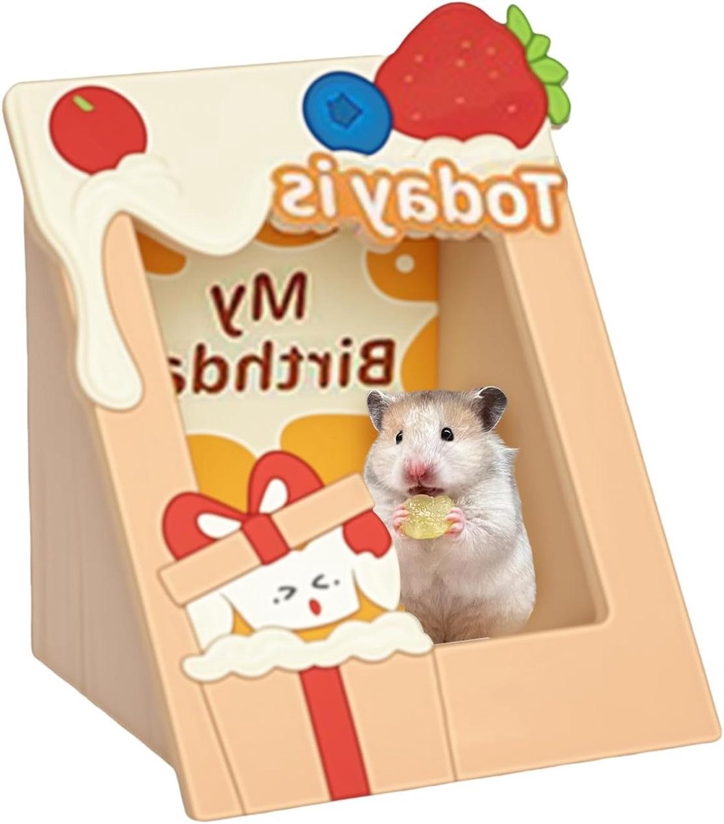 Hamster Huis - Knager Speelkooi - Dierenwelzijn Stimuleren - Fotolijst Design - 17.8x16.4x14.3cm - Houtkleur
