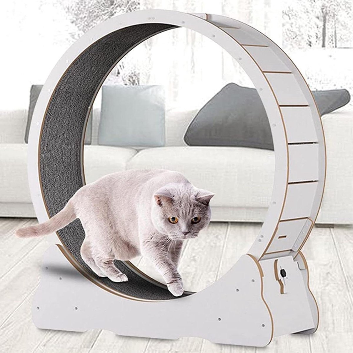 Katten Oefenwiel - Loopband Kat - Actief Spelen - Verbeterd Veiligheidsontwerp - 96 cm - Wit
