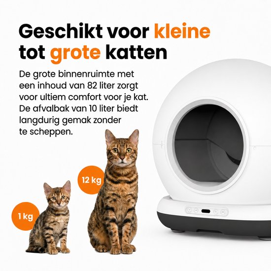 Kleine kitten (1kg) en grote kat (12kg) naast de witte 82L Zedar kattenbak, die geschikt is voor alle maten katten.