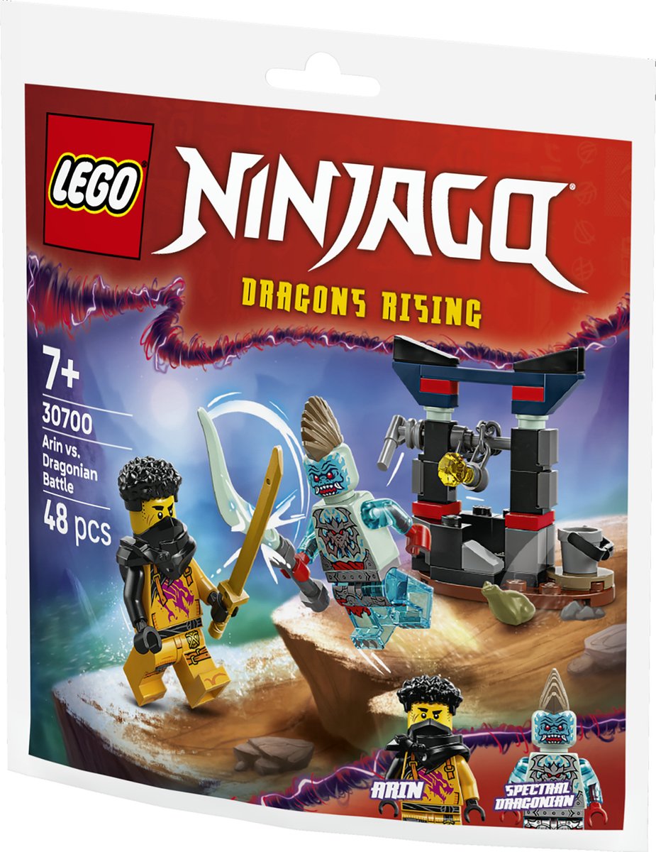 LEGO - Bags 30700 - Arin Vs. Draconi?r – foto 3
