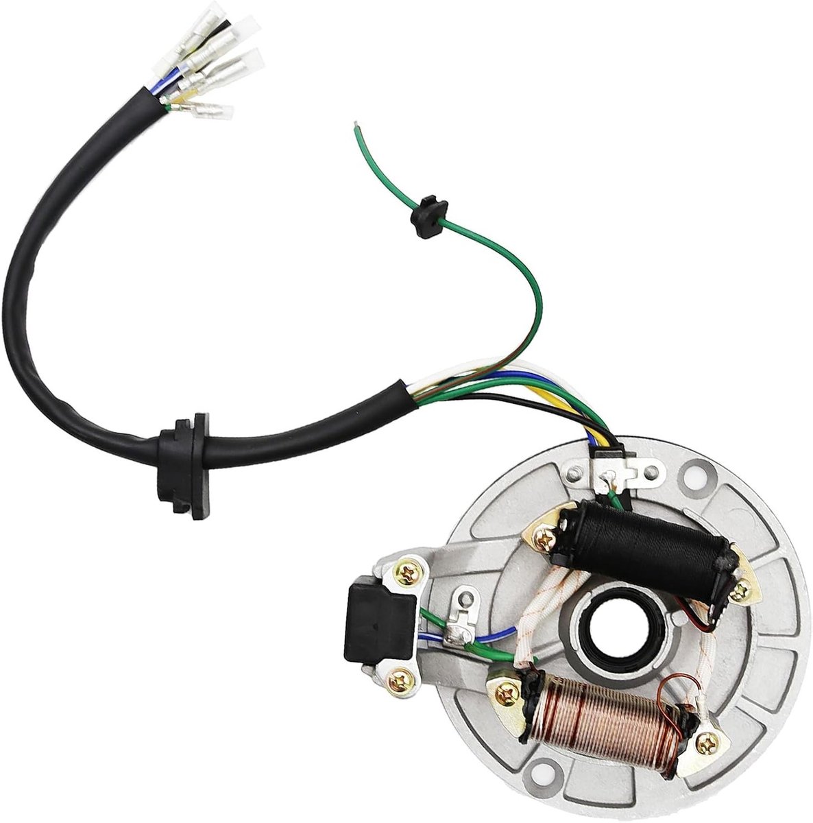 Coil Ignition Magneto Stator Plate voor 50cc tot 125cc ATV, Dirt Bike en Go Kart met Kickstart Functie