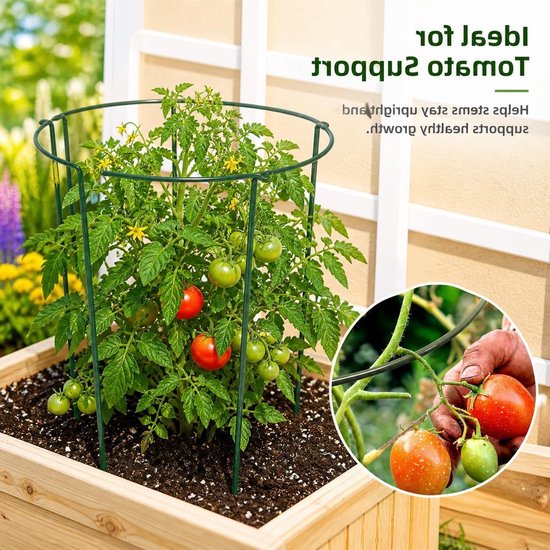 Set van 6 Metalen Halve Plantsteunen voor Klimplanten, Bloemensteunen en Tuinondersteuning voor Potplanten, Pioenrozen, Hortensia's en Groenten (35 x 20 cm) — afbeelding 3