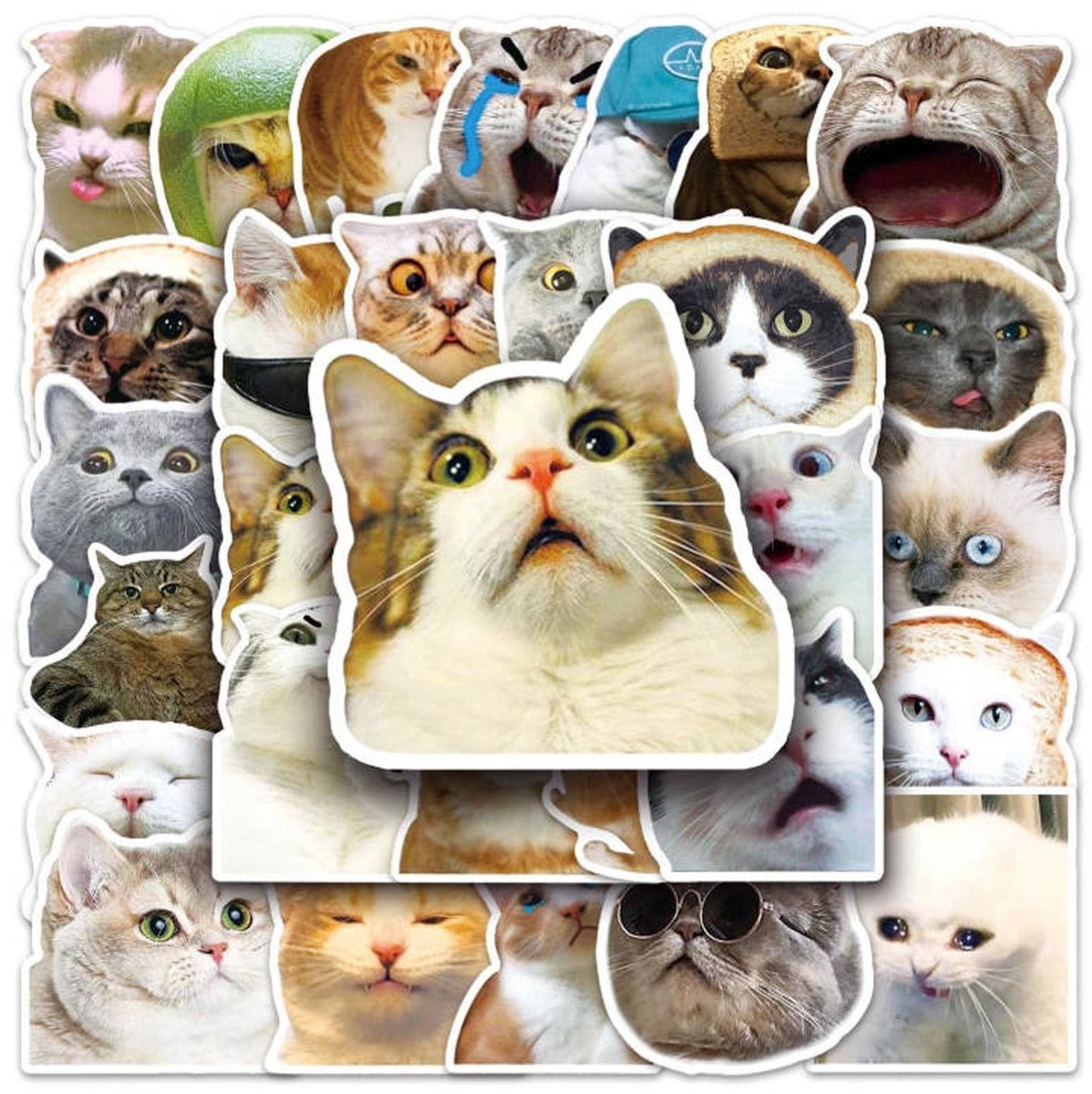 Dailygoods- Kattenstickers 50 stuks - Grappige Stickers - Waterdichte Vinyl Stickers - Esthetische Stickers - Stickers voor Laptop/Auto - Verlicht dagelijks leven