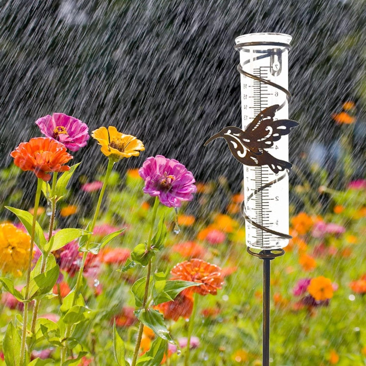 Glazen regenmeter - Tuinmeter Kolibrie - Buitenweer meten - Decoratief metaalframe - 7 inch - Transparant