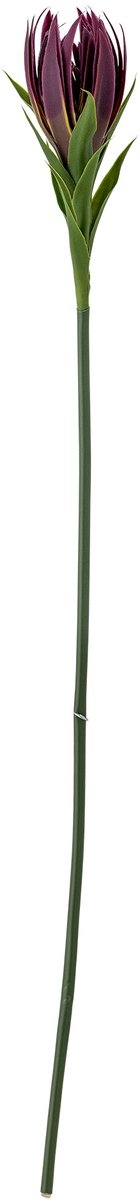 Bloomingville Lily Stem, Purple, Artificial Flowers [gid://shopify/Metaobject/307246104911]