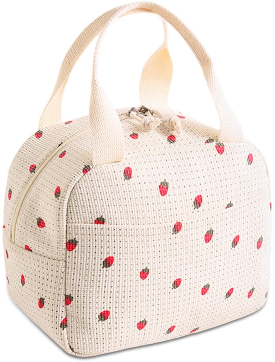 Dailygoods- Lunchtas Geïsoleerd - Draagbare Koeltas - Opvouwbaar - Voor Picknick/School - Kantoor/Reizen - Lichtgewicht - Lunchbox