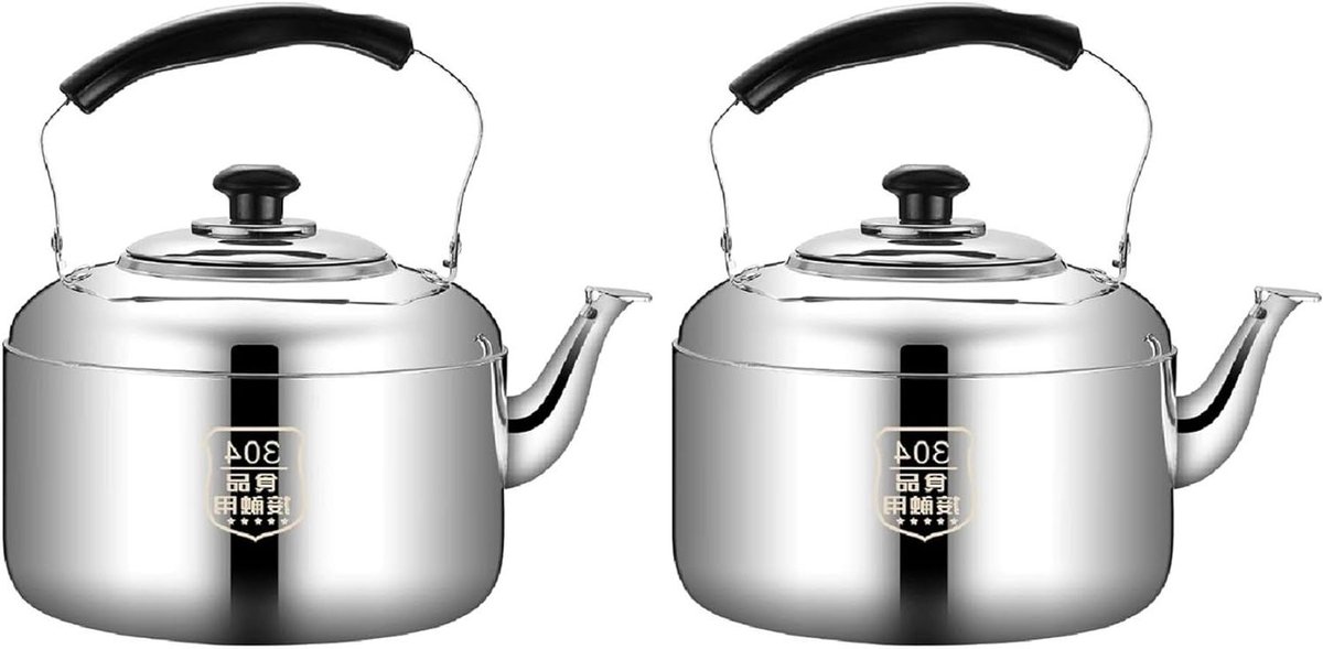 Waterkoker RVS - Theepot Ketel - Water Koken - Luid Fluitje - 3.2 Liter - Zilver