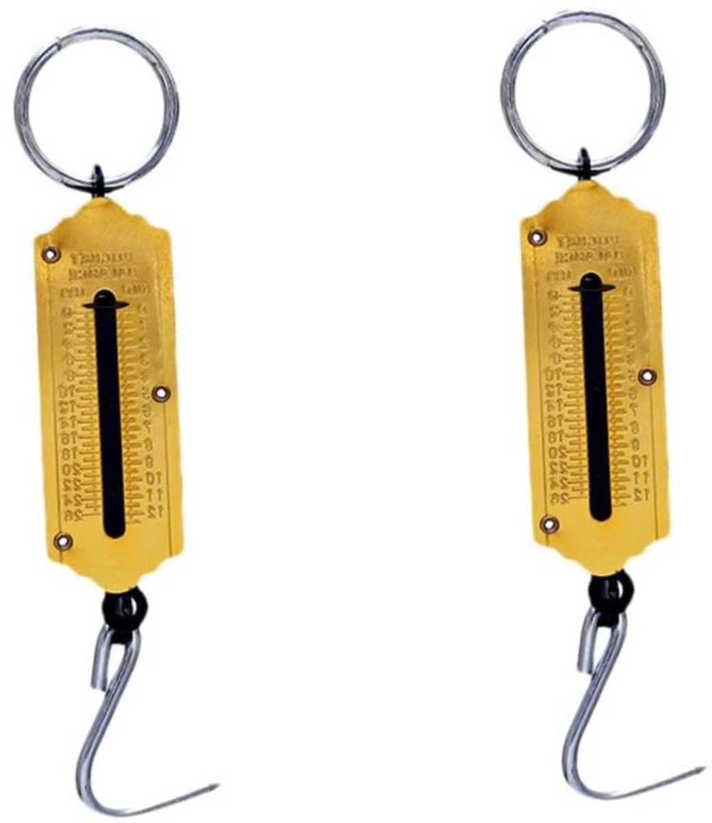 Digitale Weegschaal - Hengsel Weegschaal - Bagage Wegen - Met Haak - 18 cm - Goud