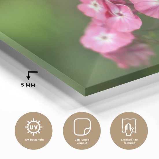 Fleurs flammes roses sur fond vert Plexiglas 180x120 cm - Tirage photo sur Glas (décoration murale plexiglas) XXL / Groot format!
