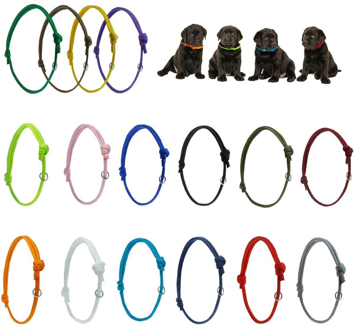 aladdien - 16-delige puppyhalsbanden - Puppy-Id-halskettingen - Verstelbare halsbanden - Veelkleurig - Puppyaccessoires - Identificatie-informatie v..