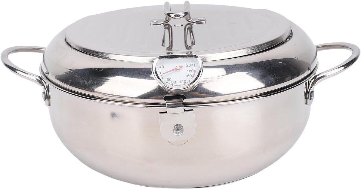 Frituurpan Roestvrij Staal - Friteuse Keuken - Thuis Frituren - Ingebouwde Thermometer - 32 Liter Capaciteit - Zilverkleurig