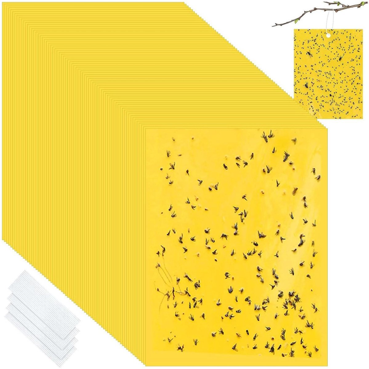 Allecto - Vliegenvanger - Gele Sticky Fly Trap - Dubbelzijdig ontwerp - 50 x 15 cm - Ideaal voor binnen en buiten - Geurloos - Effectieve insectenb...