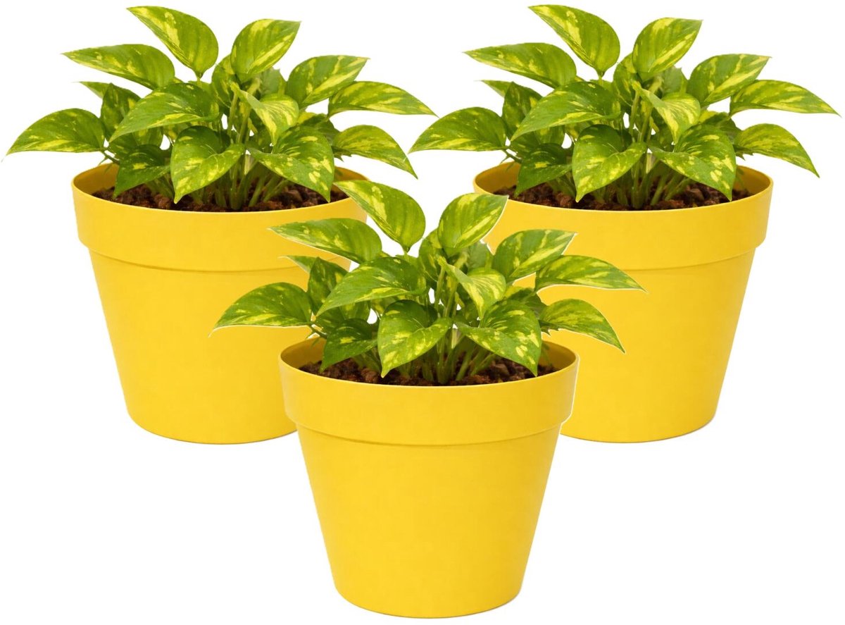 Mega Collections Plantenpot / bloempot - 3x - kunststof - geel - binnen/buiten - D20 x H17 cm
