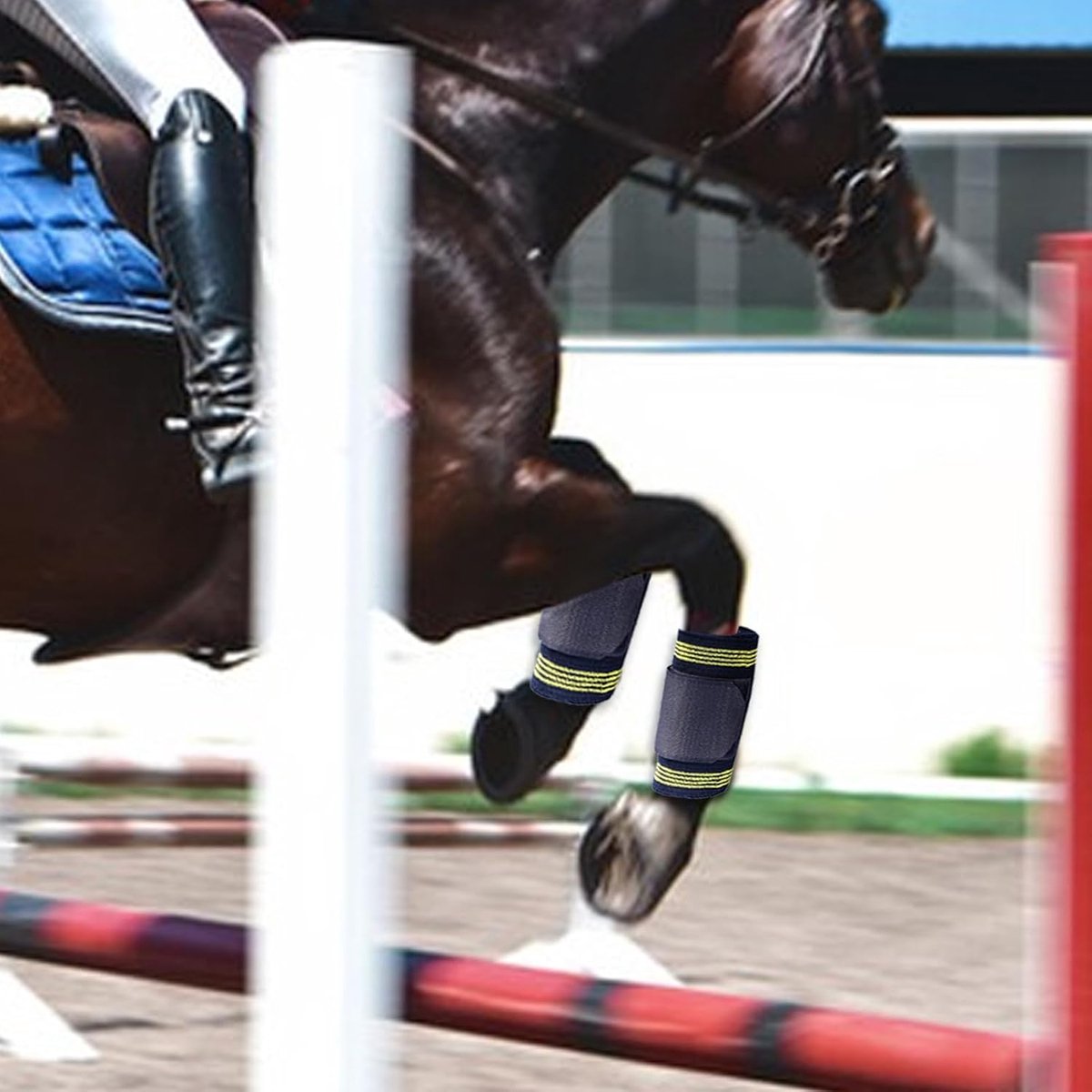 Paarden Beenwikkels - Ondersteuningsverband Elastisch - Training en Race - Bescherming tegen zwelling - 4 Rollen - Zwart