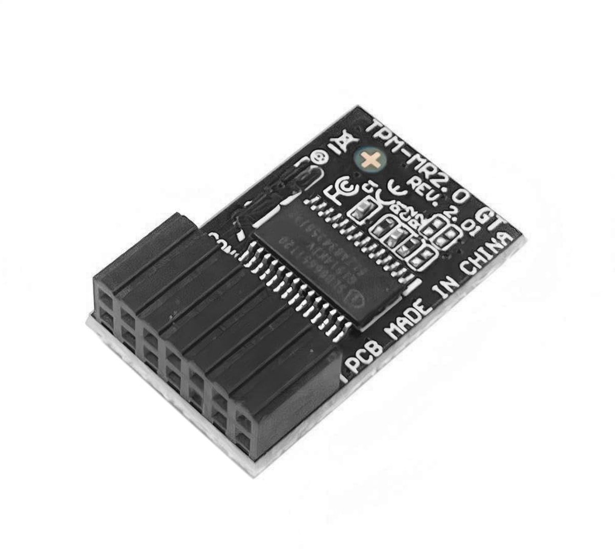 Dailygoods - TPM 2.0 LPC Module voor Beveiligingstoepassingen