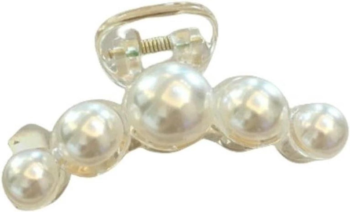 Haarklem Set - Haaraccessoires Vrouwen - Haar Stijlen - Sterke Metalen Veer - 2 Stuks - Kleur 09