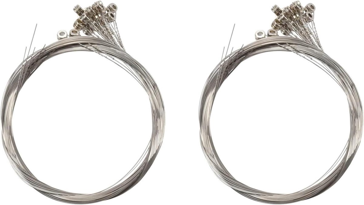 Gitaarsnaren Set - Losse Gitaarsnaren - Muziek Maken - Individueel Verpakt - 40 Stuks - Zilver