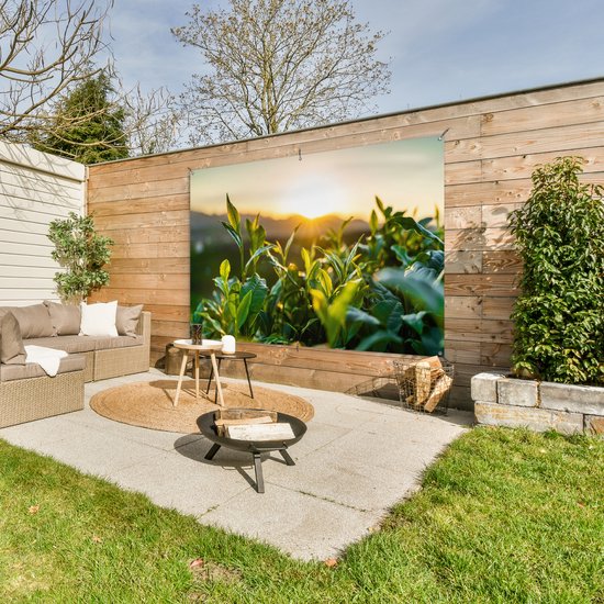 Tuinposter 180x120 cm - Tuindecoratie Zon verlicht de bladeren van theeplanten op een theeplantage - Poster voor in de tuin - Buiten decoratie - Schutting tuinschilderij - Tuindoek muurdecoratie - Wanddecoratie balkondoek