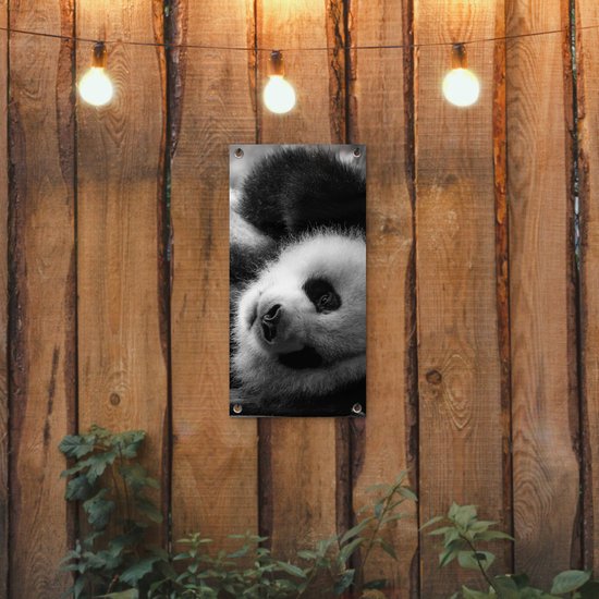 Tuinposter 30x60 cm - Tuindecoratie Dierenprofiel rollende panda in zwart-wit - Poster voor in de tuin - Buiten decoratie - Schutting tuinschilderij - Tuindoek muurdecoratie - Wanddecoratie balkondoek