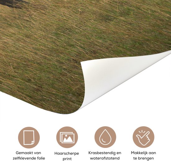 Deurposter 80x205 cm - Deursticker Olifant - Savanne - Dieren - Natuur - Meubelfolie zelfklevend - Deurfolie woonkamer - Interieurfolie fotobehang - Deur plakfolie - Deurstickers - Deurbehang sticker - Kamer decoratie