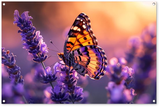 Poster de jardin papillon - Décoration de jardin lavande violet - 120x80 cm - Poster Fleurs pour le jardin - Décoration extérieure papillons - Peinture de jardin clôture - Décoration murale toile de jardin - Décoration murale balcon..