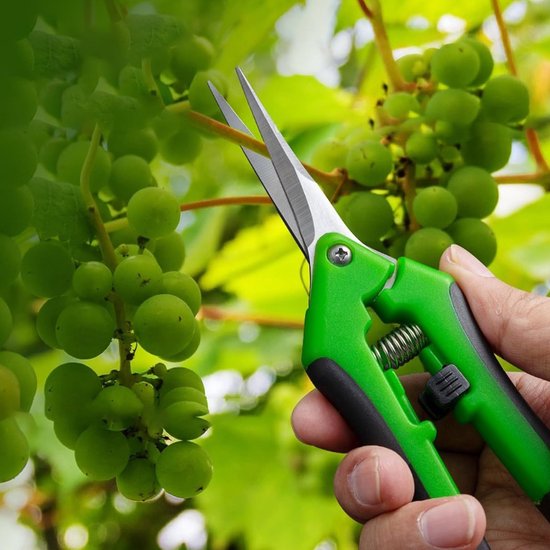 Handmatige Tuinschaar voor Bonsai, Kleine Snoeischaar met Rechte Punt voor het Oogsten van Fruit, Takken en Bloemen in de Tuin — afbeelding 4
