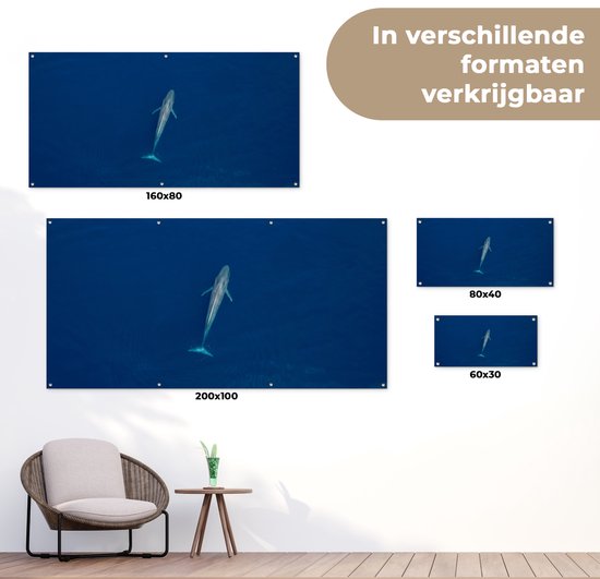 Une baleine bleue d'en haut Poster de jardin 60x30 cm - petit - Toile de jardin / Toile d'extérieur / Peintures pour l'extérieur (décoration de jardin)