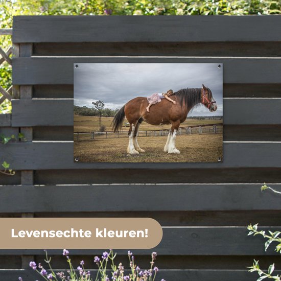 Posters de jardin Cheval - Fille - Prairie - 90x60 cm - Toile jardin