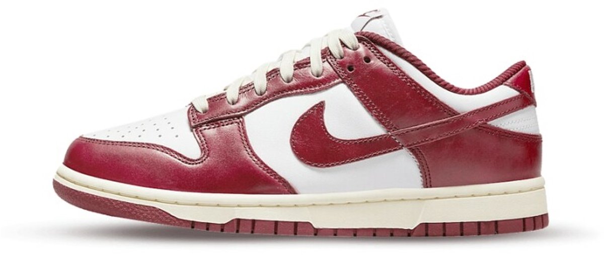 Nike Dunk Low Vintage Team Multikleur