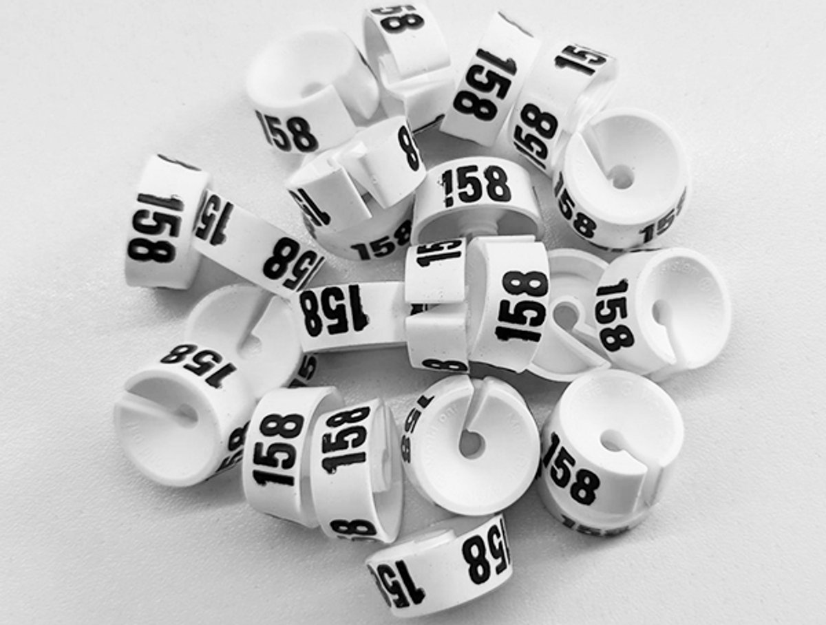 Bleijenberg Maatdopje maat 158 wit - Maataanduiding voor kledinghangers per 25 stuks - Maatringetje Ø 20 mm - Kledinghangers - Kleerhanger - Kapstok - Mark-Brics - wisersizer