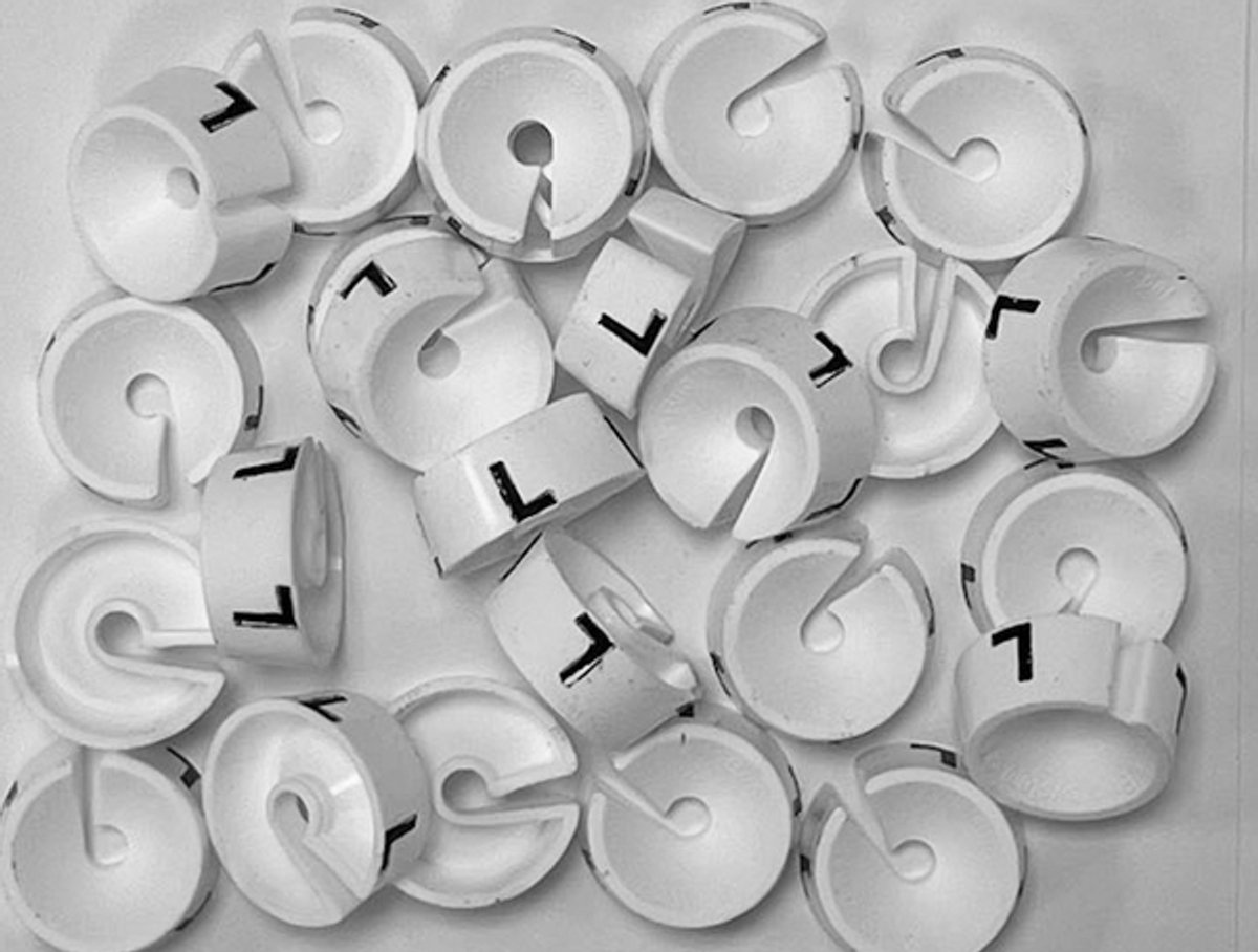 Bleijenberg Maatdopje maat L wit - Maataanduiding voor kledinghangers per 25 stuks - Maatringetje Ø 20 mm - Kledinghangers - Kleerhanger - Kapstok - Mark-Brics - wisersizer