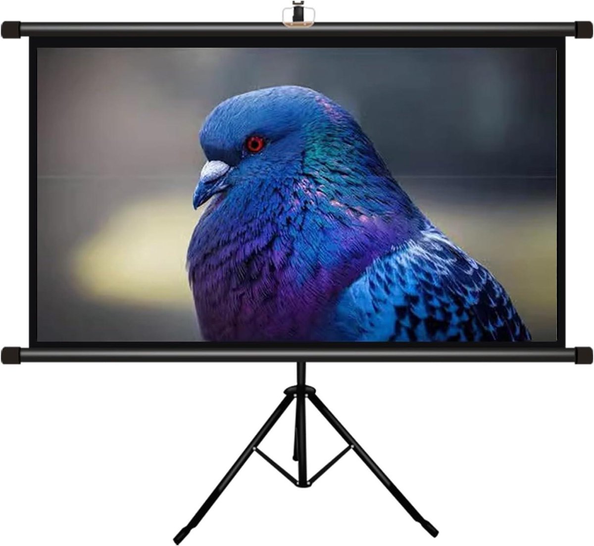 Projectiescherm Met Standaard - Draagbaar Scherm - Thuisbioscoop Creëren - Kreukvrij Beeld - 60 of 72 inch - Wit