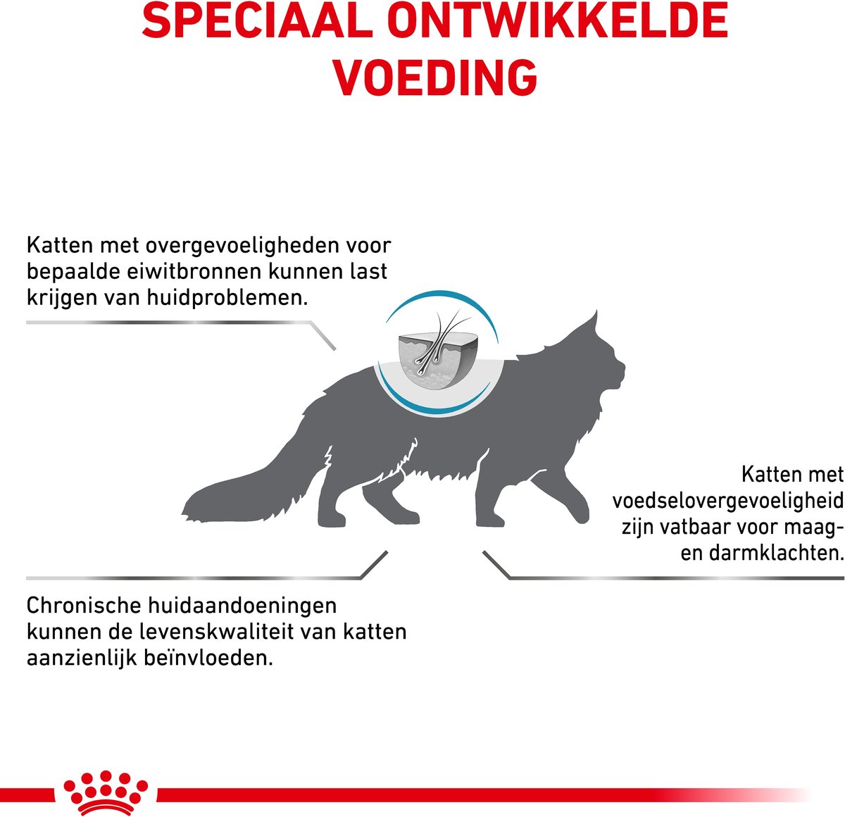 Royal Canin Veterinary Diet Cat Anallergenic - 4 kg- Kattenvoer thumbnail 2