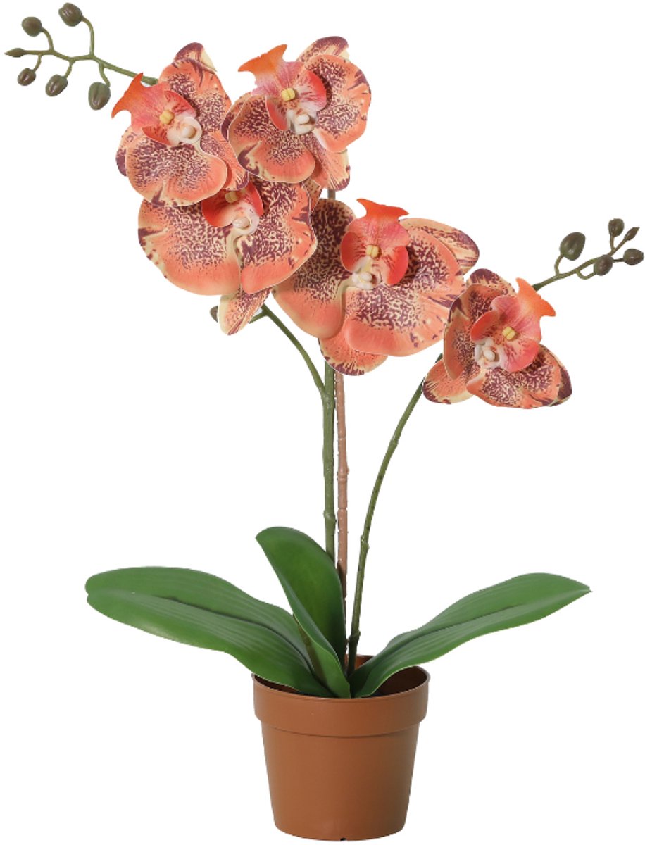 Trendyplants - Kunst Phalaenopsis Orchid Orange - Oranje Orchidee - Kunstplant - Hoogte 41cm - Potmaat Ø9cm