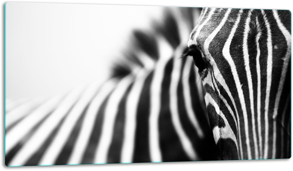 TMK ArtDeko - Snijplank - Glas - 52x30 cm - Zebra