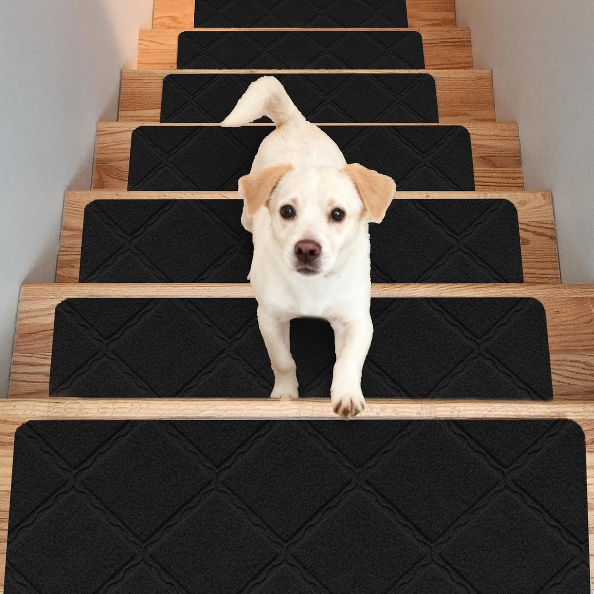 Pack of 15 Antislip Trapmatten - Zelfklevende Trapmatten voor Binnen - Herbruikbaar - Voor Kinderen, Ouderen en Huisdieren - 55 x 19 cm