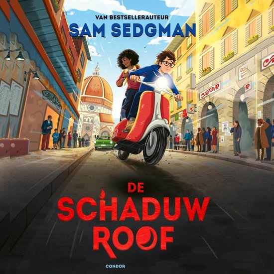 De schaduwroof - cover