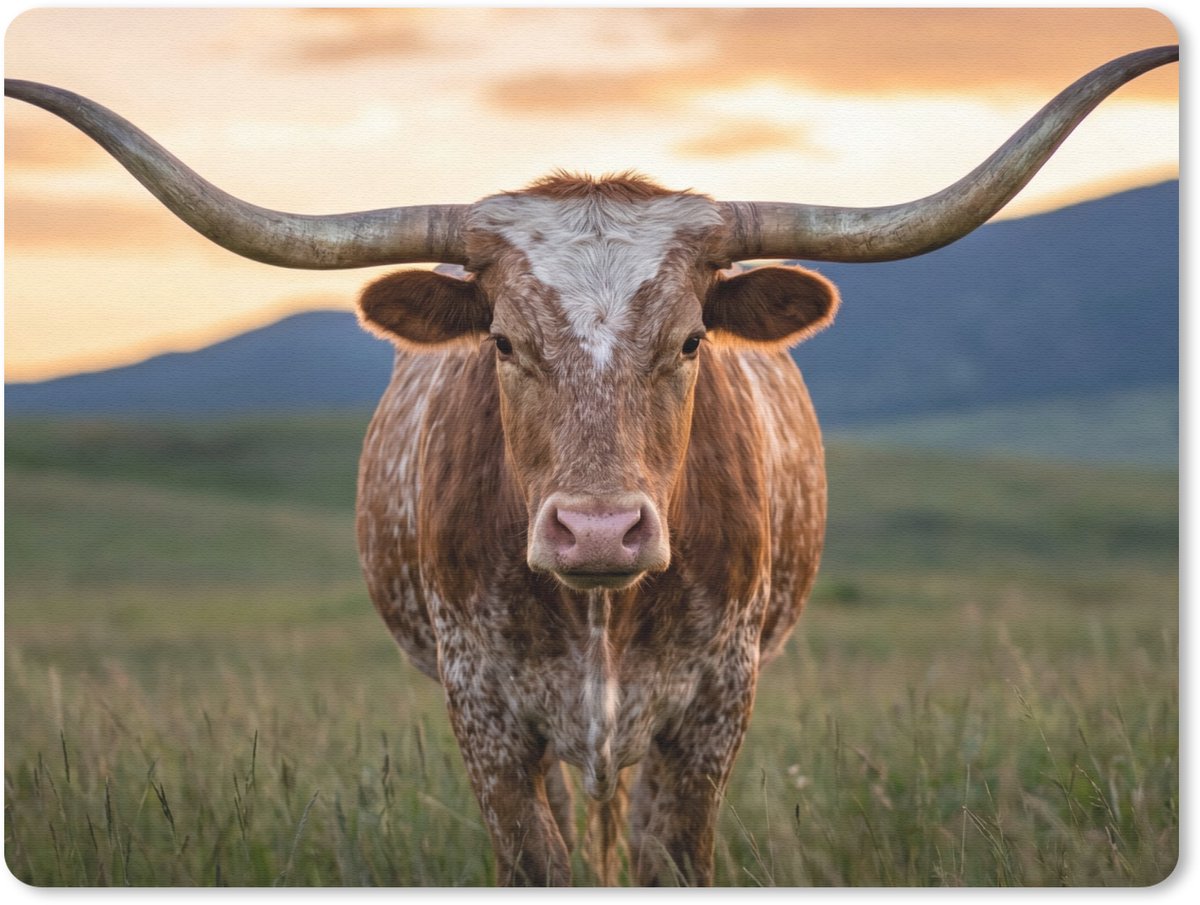 Muismat 12x10 cm - Mousepad Longhorn - Landschap - Zonsondergang - Muismatten