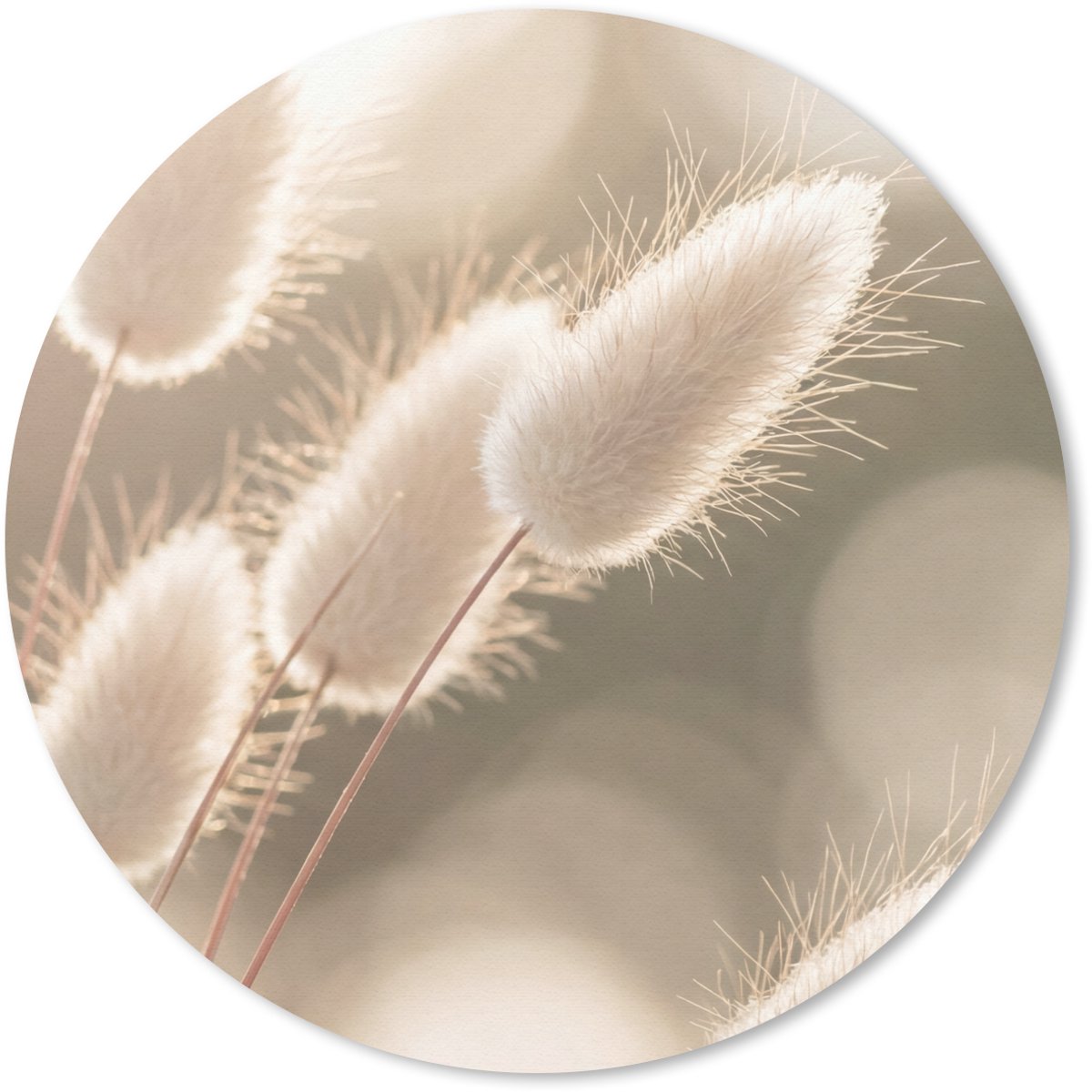 Muismat rond 20x20 cm - Mousepad Hazestaartgras - Wit - Zonlicht - Ronde muismatten
