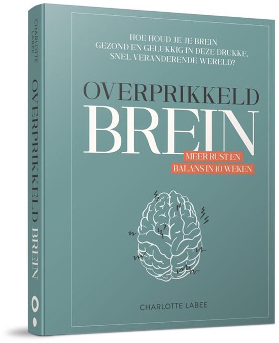 Boek 'Overprikkeld brein' met een blauwgrijze kaft, een illustratie van een brein en de tekst 'Hoe houd je je brein gezond en gelukkig in deze drukke, snel veranderende wereld?'