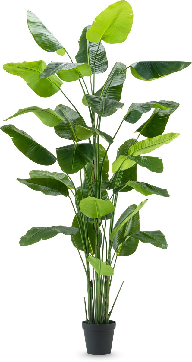 Easyplants | Kunstplant Strelitzia Real Touch Deluxe 300 cm | Zijde | Strelitzia | Groen